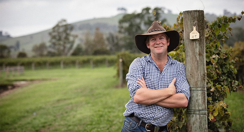 Boydell's - Daniel in the Vineyard